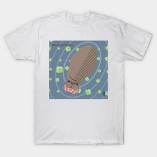 Minimal Zoo Art Series | A to Z  | Hippo | Square T-Shirt